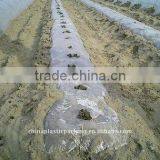 Pe Film Against Rain With Hole thumbnail-1