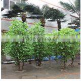 wholesale bonsai tree live ficus tree artificial bonsai banyan tree