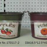 Colored Metal Water Bucket With Decal thumbnail-1