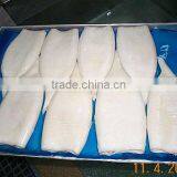 Замороженный трубчатый кальмар thumbnail-1