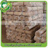 Mop Handle for Brush thumbnail-5