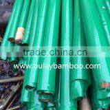 Plastic Coated Natural Garden Bamboo Canes thumbnail-3