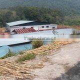 Perniagaan Titi Cane company overview - view 2 thumbnail