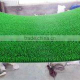 PE Gold-washing Grass thumbnail-1