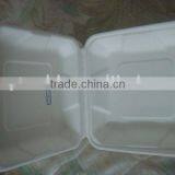 Biodegradable Bagasse Lunch Box