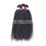 Wholesale Virgin Hair Vendors Fast Shipping Malaysian Curly Hair thumbnail-2