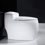 Bathroom Design Latest Product China Factory One Piece Toilet