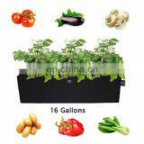 Strawberry Potato Felt Black Grow Bags thumbnail-1