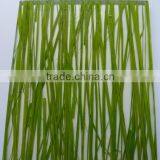 Acrylic Sheet With Natural Green Grass