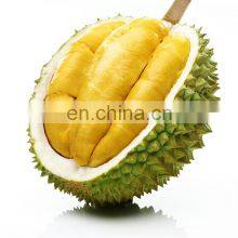 Best sellers product with Durian 100% natural premium in Viet Nam