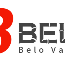 Hebei Belo Valve Sales Co.,Ltd