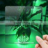 Express ce RohsDC12V/24v RGBW Color Tape LED Strip Light thumbnail-2