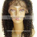 100% Handsewn Remy Lace Front Wig