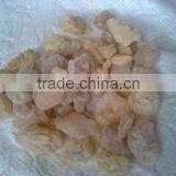 GUM COPAL PWS & WS Grade Indonesia Origin thumbnail-1