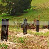 Plastic Extruded Mesh Tree Guards thumbnail-3