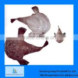 High quality frozen monkfish IQF