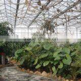 Polycarbonate PC Sheet Multi-span Greenhouse thumbnail-5