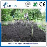 Corplast Plastic Tree Guard
