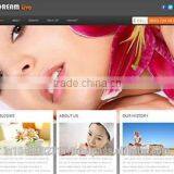Responsive Website Designing Services India thumbnail-5