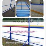 HDPE Synthetic Ice Skating Board /hockey Rink Barrier /HDPE Dasher Board thumbnail-4