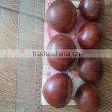 Dandong City Chestnuts Taian Species thumbnail-1