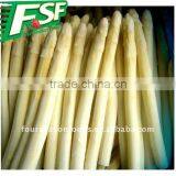 Frozen White Asparagus Spears thumbnail-1