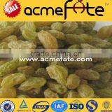 Best Price Top Quality Seeded \ Raisin(golden,green,sultana,sun Dried)