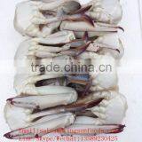 Frozen Blue Swimming Crab for Hot Sale thumbnail-2