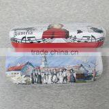 Beautiful High Quality Velvet Sponge Inside Wholesale Metal Cute Cheap Eyeglasses Case