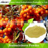 100% pure seabuckthorn Aikon seabuckthorn powder supply, quality assurance