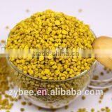 Hot Sale Natural Fresh Pure Rape Pollen