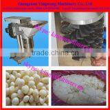 Vegetable Garlic/ Ginger/ Pepper/ Onion Mash Making Machine thumbnail-2