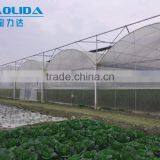 Cheap Easily Inatalled Plastic Film Vegetable Greenhouse thumbnail-6
