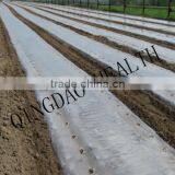 Agriculture Mulch Films ,perforated Clear Mulch Film (with 2 or 4 Holes) thumbnail-6