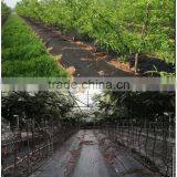 Tree Weed Mat Fabric thumbnail-3