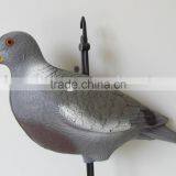 Plastic Pigeon thumbnail-1