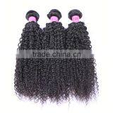 Wholesale Virgin Hair Vendors Fast Shipping Malaysian Curly Hair thumbnail-1