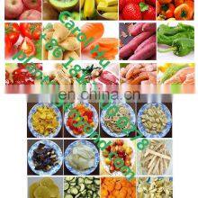 Small Vacuum Deep Fryer for Fruit and Vegetables thumbnail-3