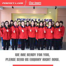 Perfect Laser High Quality Galvo Radio Frequency Tube CO2 Laser Marking Machine For Plastic Film/Switch thumbnail-5