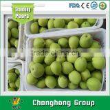 2015 Fresh Shandong Pear/shangdong pear