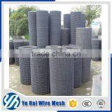 Low price plain woven crimped mesh