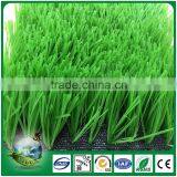UV Resistance Durable Football Grass Artificial Turf for Soccer thumbnail-1