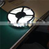 5m x 10mm Constant Current dc 12v High Lumen 4000lm Smd 5050 Led Strip With Waterproof dc Connectors thumbnail-1