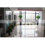 RP-S3718 Fashion Plastic Reading Glasses, New Design Custom Logo Eyewear thumbnail-6