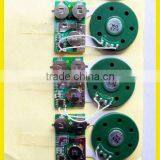 Music Chip for Greeting Cards