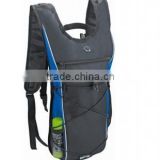 High Quality Polyester Backpack Bag, Customized 600D Backpack,school backpack