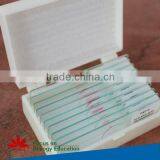 50pcs Human and Animal Parasitology Slides Set thumbnail-5