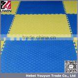 Martial Arts Taekwondo Tatami Puzzle EVA Foam GYM Mats For Sale