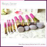 Wholesale Professional 8pcs per Set Four Colors Bristle Hair Cosmetic Makeup Brush Set for Women thumbnail-6