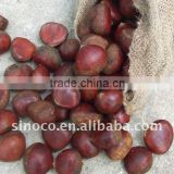 Frozen Chestnuts in 10kg gunny bag